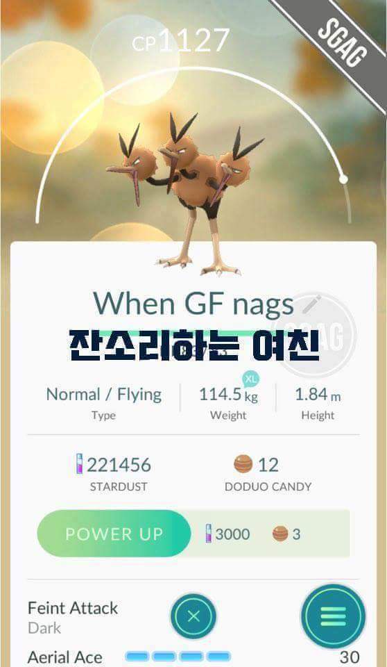 포켓몬은 내 친구 | 인스티즈