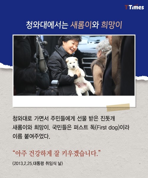 박근혜를 거쳐 간 강아지들 스토리 | 인스티즈