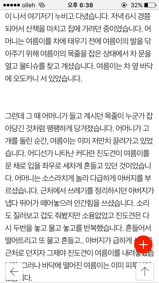 저희 개가 (여름이) 다른 개에게 물려 죽었습니다...(사진) | 인스티즈