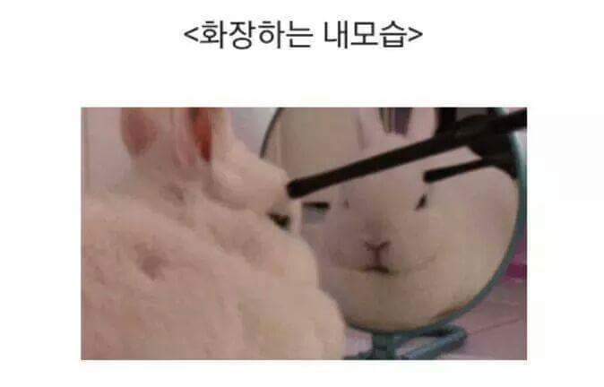 여자들이라면 극공감 ㅋㅋㅋ 남자들이보면 그냥웃김 | 인스티즈