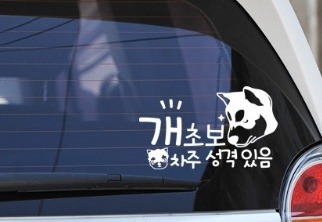 운전하다 보면 왠지 모르게 열받는 것들 | 인스티즈