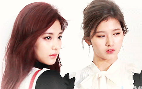 트와이스 비주얼 케미甲.jpg | 인스티즈