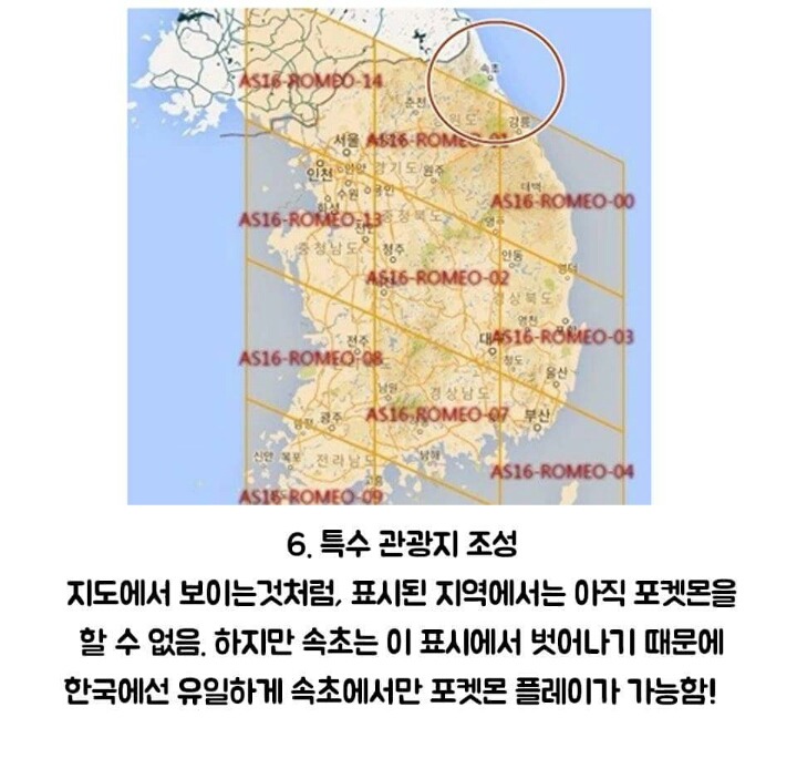 포켓몬go 가 만든 나비효과 | 인스티즈