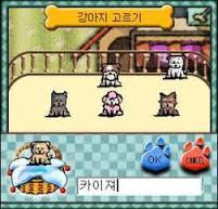 1가구 1멍멍이 키우던 시절....jpg | 인스티즈