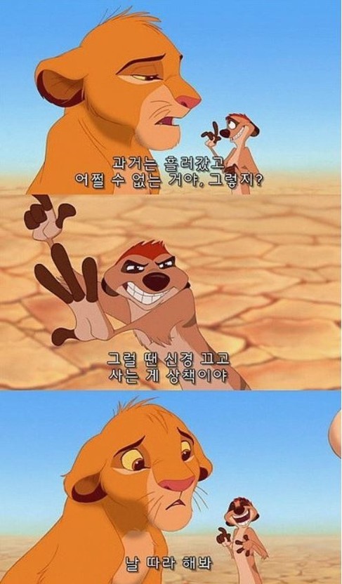 하쿠나마타타 이미지