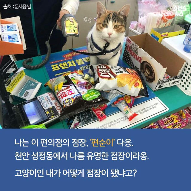 편순이 처음 보냥? | 인스티즈