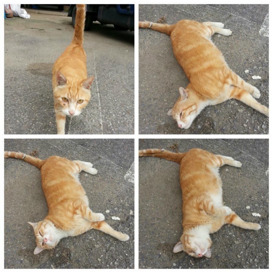 현대카정비 이미지