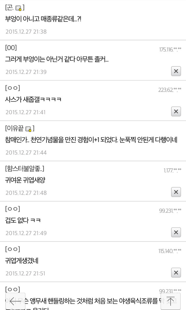 길가다 부엉이 주움 | 인스티즈