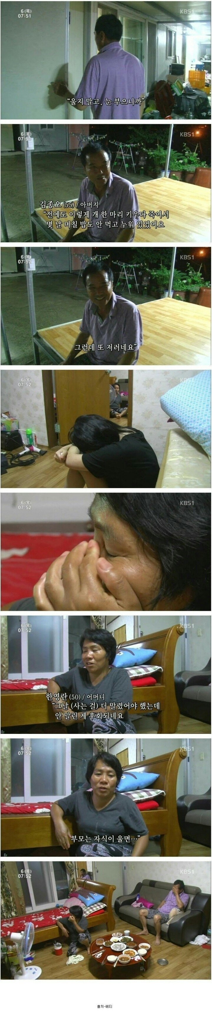 시장에서 파는 강아지 | 인스티즈