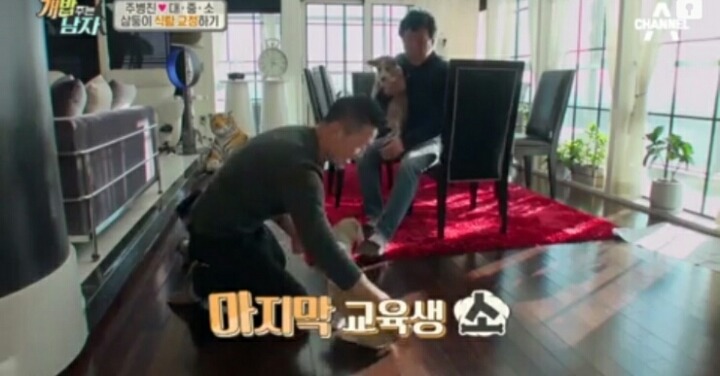 [개밥주는남자] 웰시코기 삼둥이 대중소 식탐고치기 (feat.갓형욱) | 인스티즈