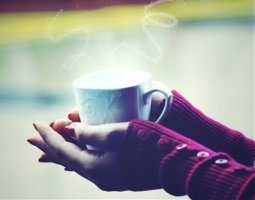 빙그래 이미지