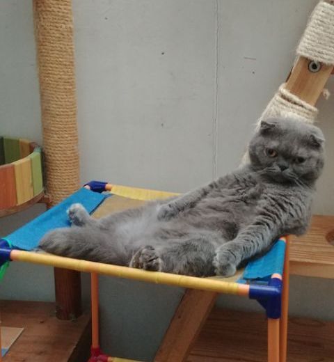 무아 이미지