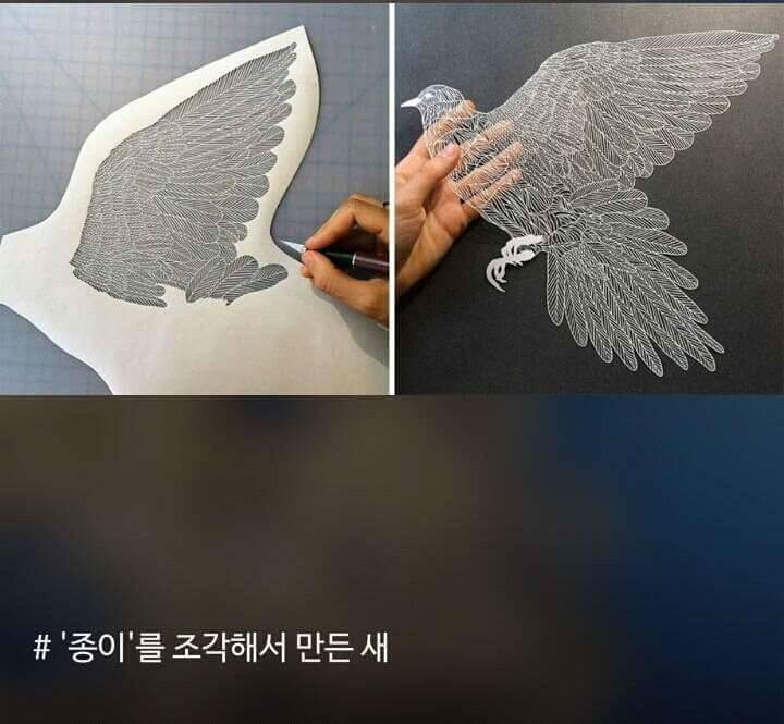기상천외한 소재로 만들어진 작품들 | 인스티즈