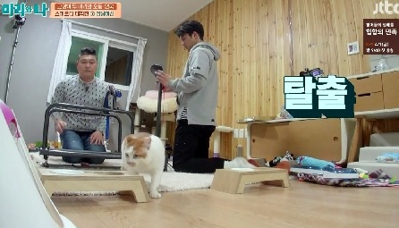 [마리와나] 뚱보냥 호동이 다이어트 시키기 (feat.먼지) | 인스티즈