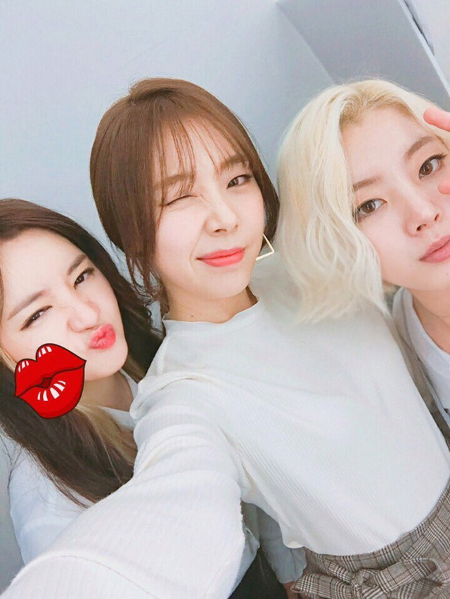 레이디스코드 the rain 활동 기사,sns 짤들 | 인스티즈