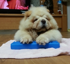 깨끗하게호호 이미지
