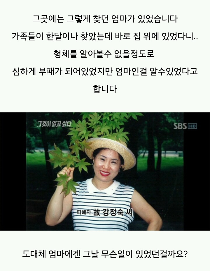 그것이 알고싶다-주검으로 돌아온 엄마의 한 달 | 인스티즈