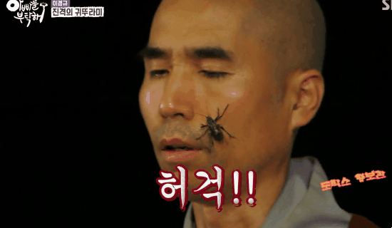 [아빠를부탁해] 귀뚜라미에 질겁하는 예림이 [움짤많아요] | 인스티즈