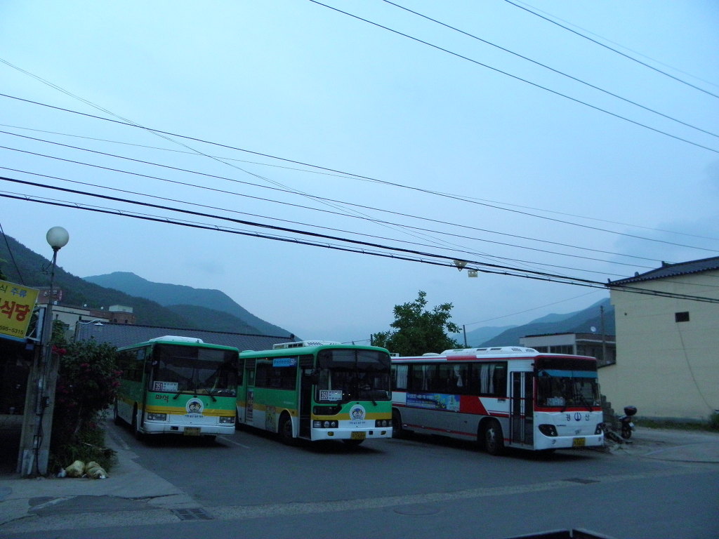 일광식당 이미지