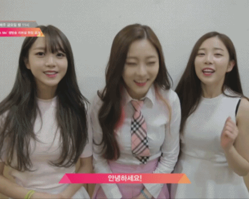 오늘자 프로듀스 12~22위 탈락 연습생들.gif | 인스티즈