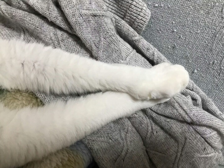 이상한 자세로 있다 싶어서 보니 기타 픽을 훔쳐놓고 있었다.jpg | 인스티즈