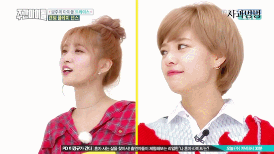 유정연과 복숭아양 | 인스티즈