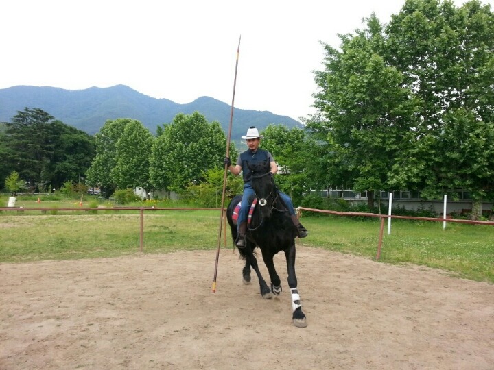 프리지안 이미지