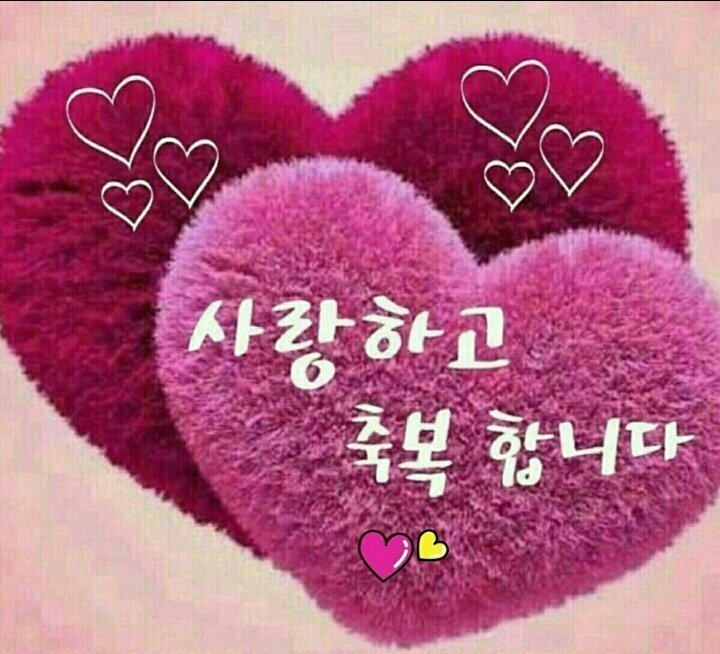 대원미트 이미지
