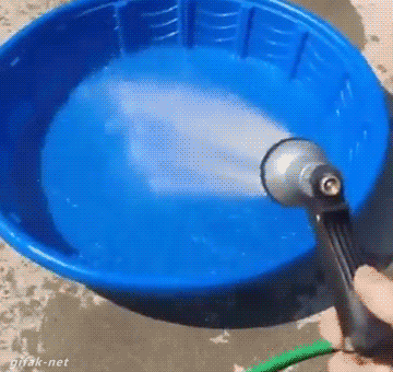 물 맞고 싶은 코기.gif | 인스티즈
