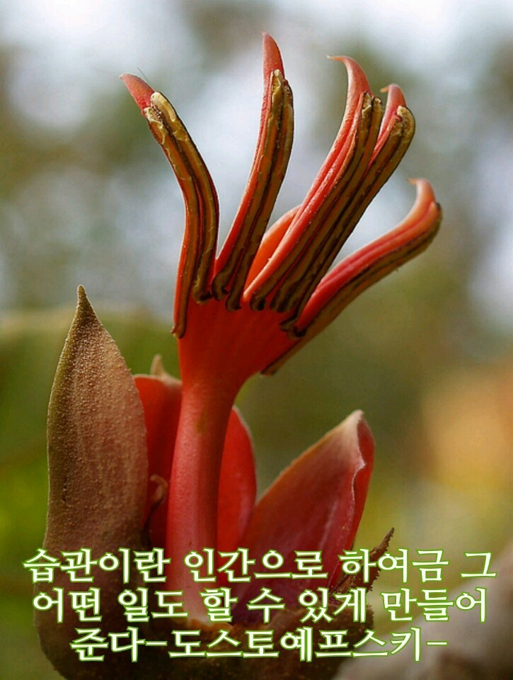 [이미지] 부모님께 보내드리면 사랑받는 이미지 모음 | 인스티즈
