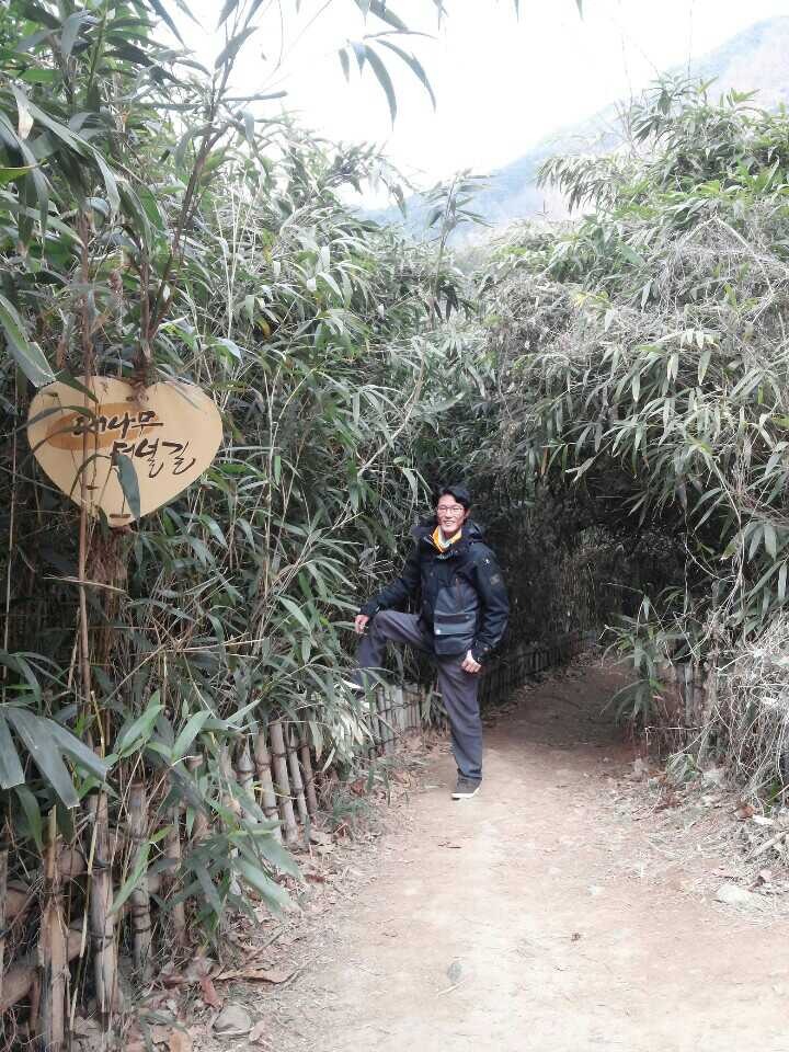 구름속의 산책 이미지