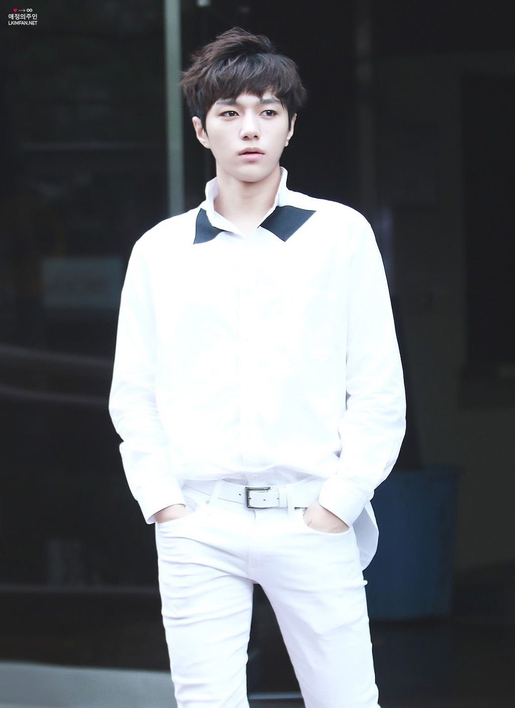 엘 이미지