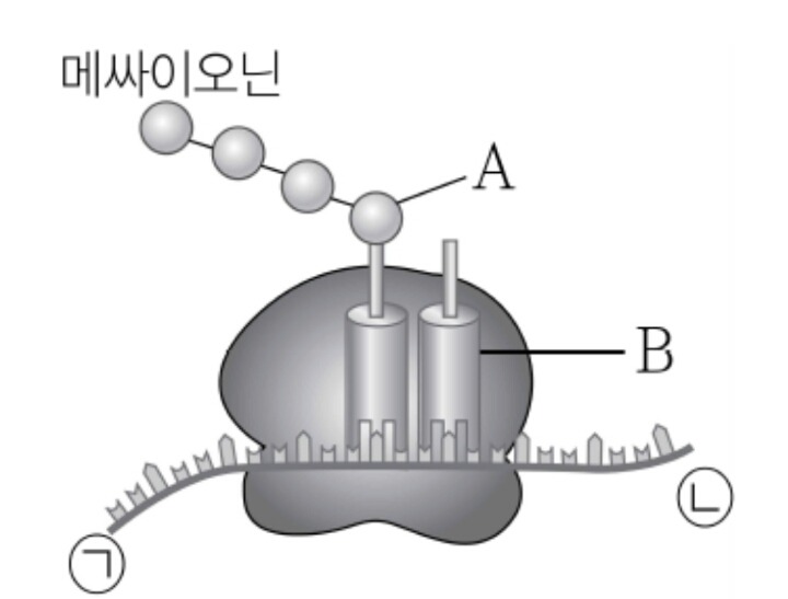 단어하나로 문과(출신)or이과(출신) 나누기!! | 인스티즈