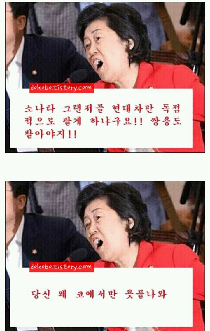 이은재의원 패러디 + 행정연구원장 시절 개드립 애디션 | 인스티즈