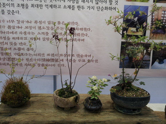 여기;꽃자리 이미지