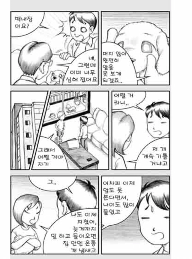 [눈물주의슬픔주의] 당신은 강아지에게 다정한 주인인가요? | 인스티즈