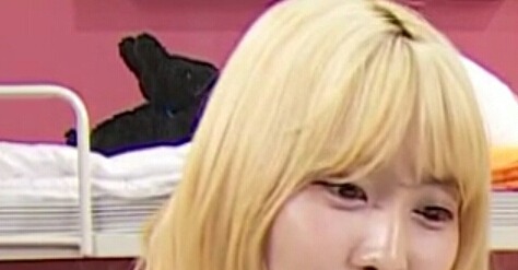 마리텔 트와이스 방 실루엣인줄 알았던 쭈구리가....jpg | 인스티즈