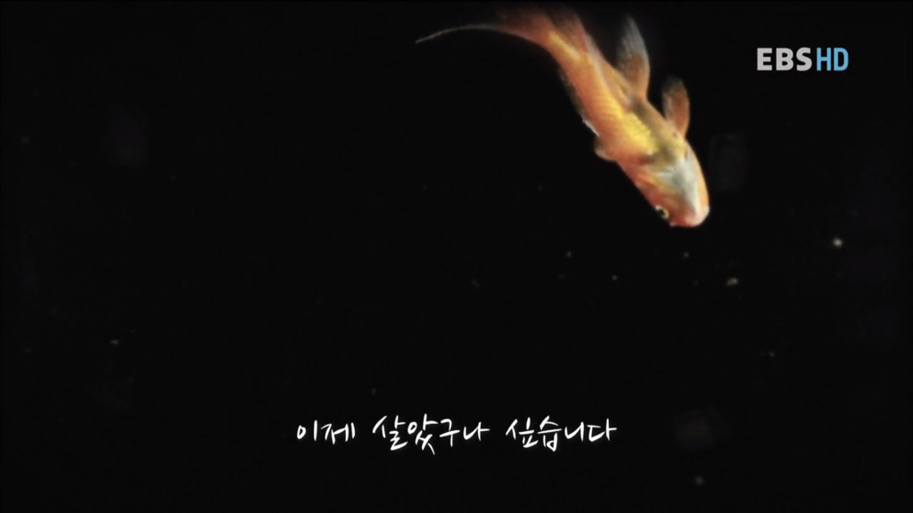자본주의 속 우리의 현실 상황... 공감되서 소름 돋네요.. | 인스티즈