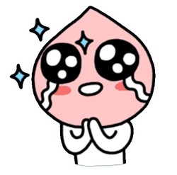 미소여행사 이미지