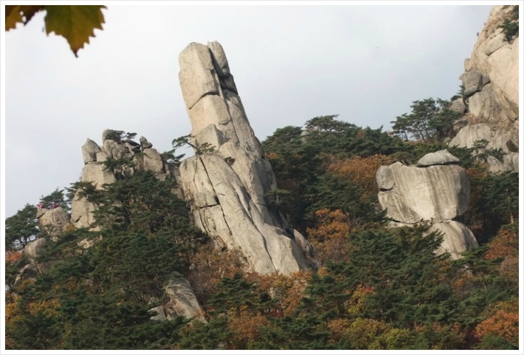 에덴동산 이미지