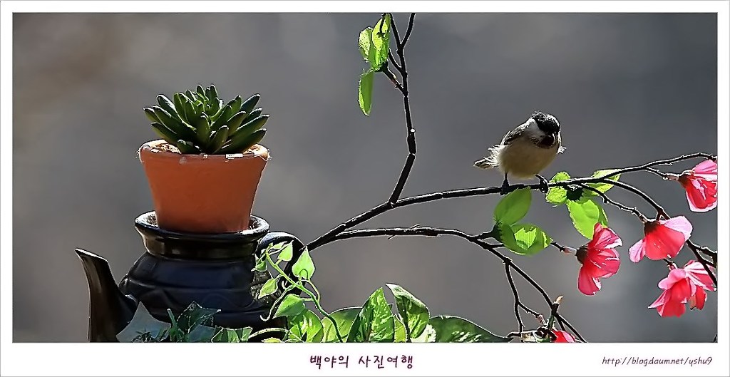 아름다운연출 이미지