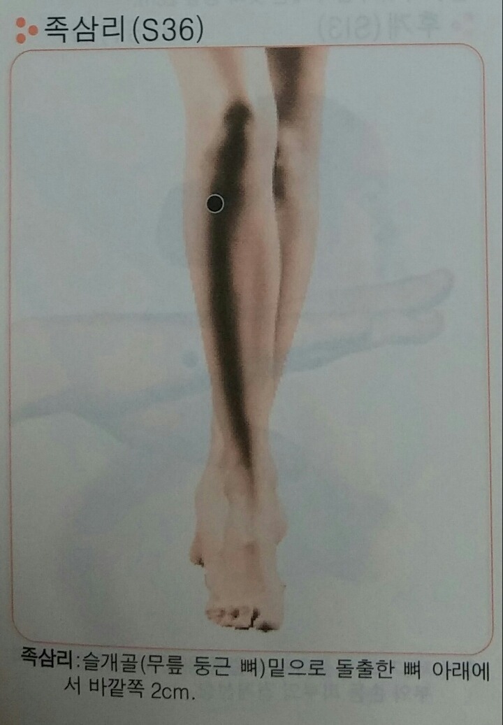 족삼리 이미지