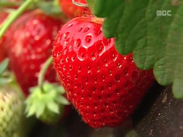 [거침없이하이킥] 봄바람 난 문희 | 인스티즈