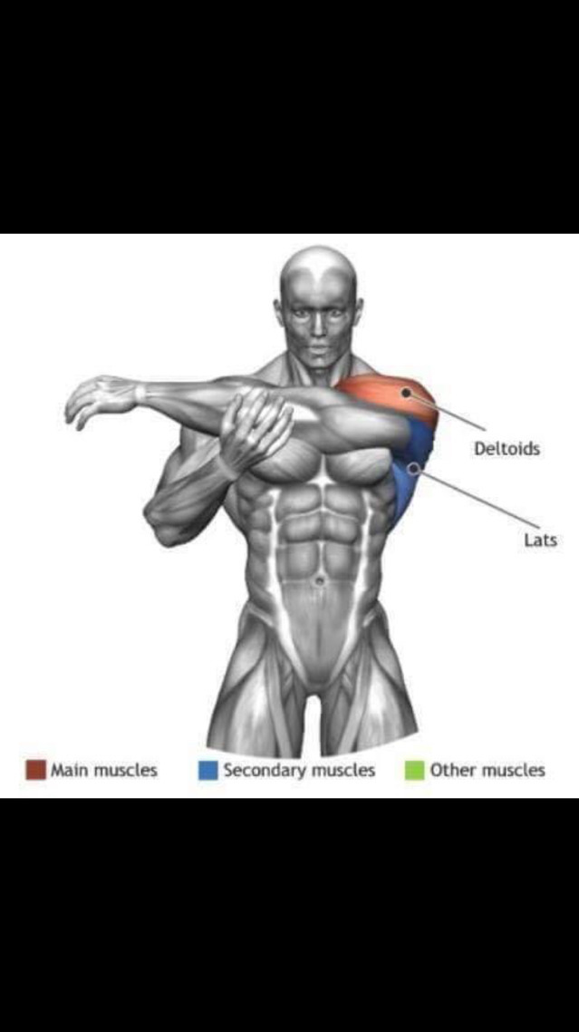 스트레칭간 근육 이완 부위 | 인스티즈