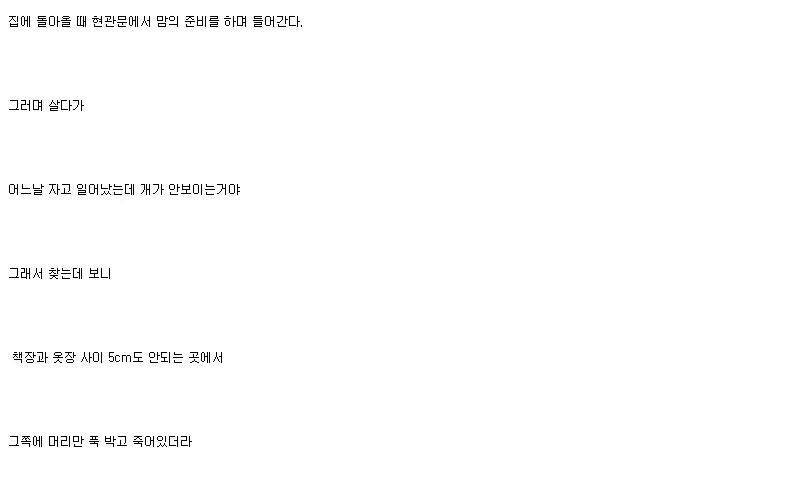개가 늙어죽을때 어떻게 죽는지아나? | 인스티즈