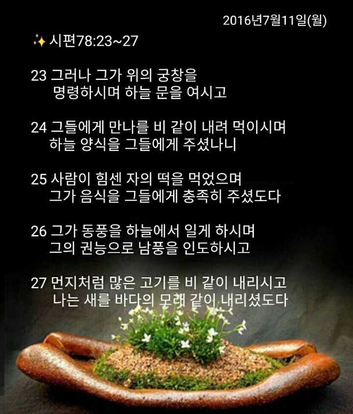 백향 이미지