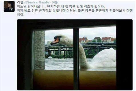 런던과 한국 반지하 차이 | 인스티즈