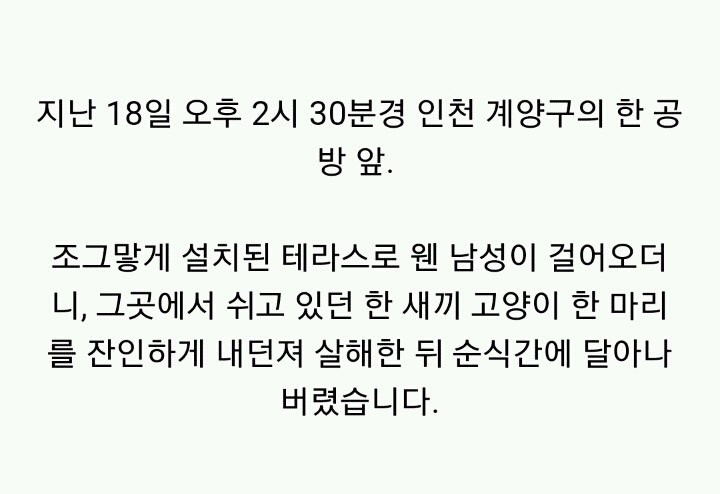 분노주의)웃는 얼굴로 새끼 고양이 내던지고 도망간 미친넘 | 인스티즈