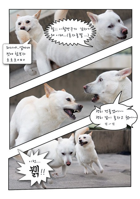 와니와니 이미지