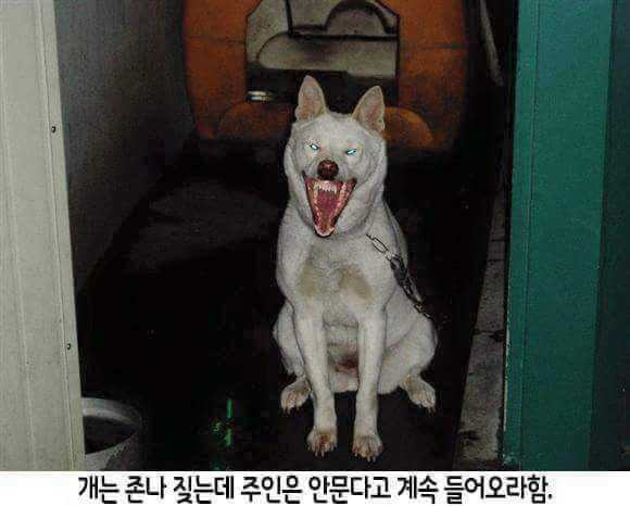 공감 이미지